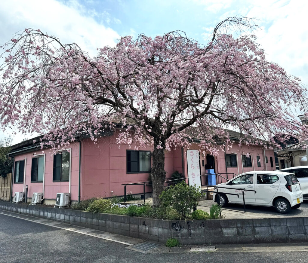 小規模多機能・グループホーム　さくら・さくら